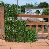 Навъи тамдиди растании кӯҳнавардӣ биноҳои боғи зидди зангзании ҳезум Тори девори девори боғи ороиши девор